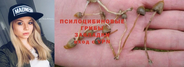 прущая мука Волоколамск